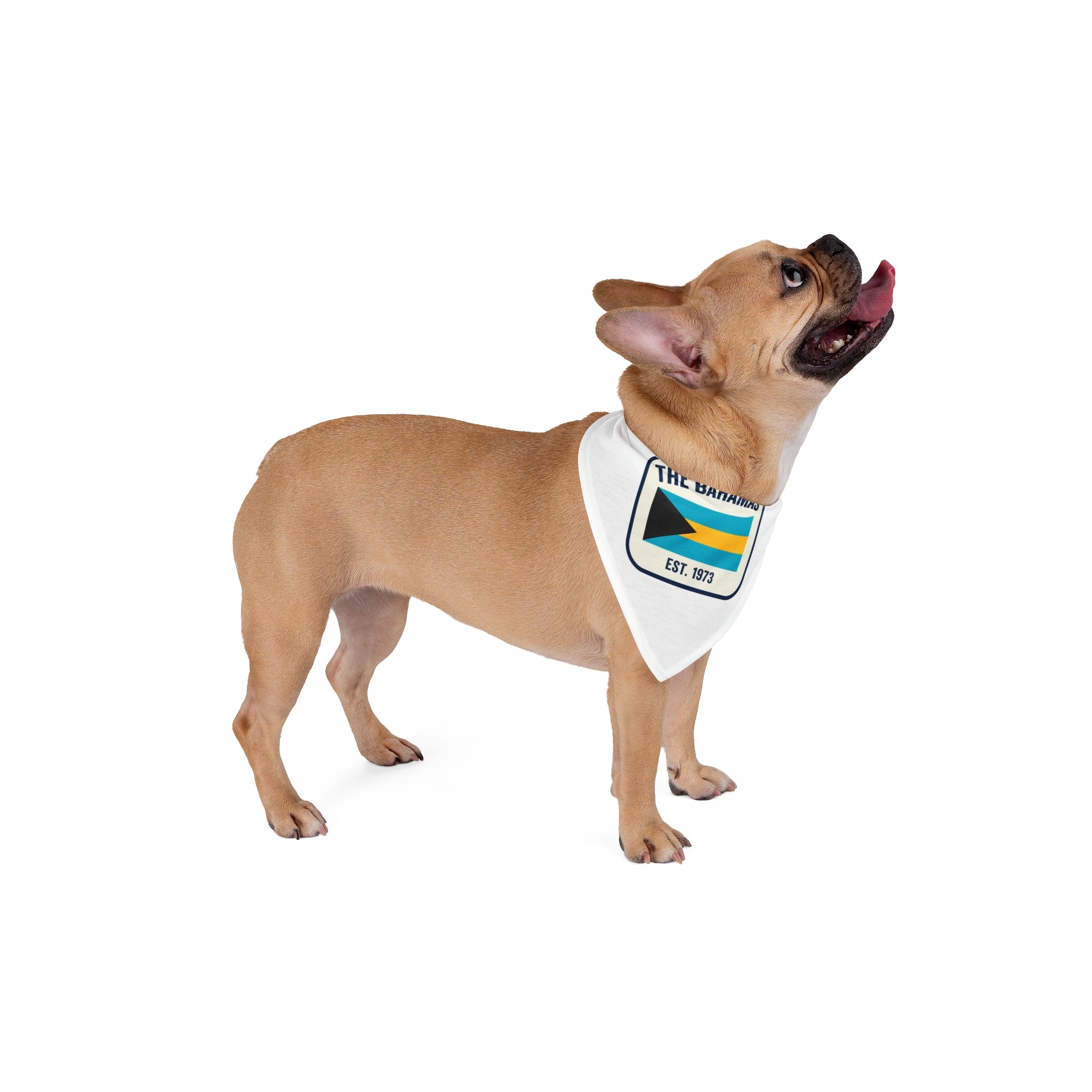 Pet 242 Bandana