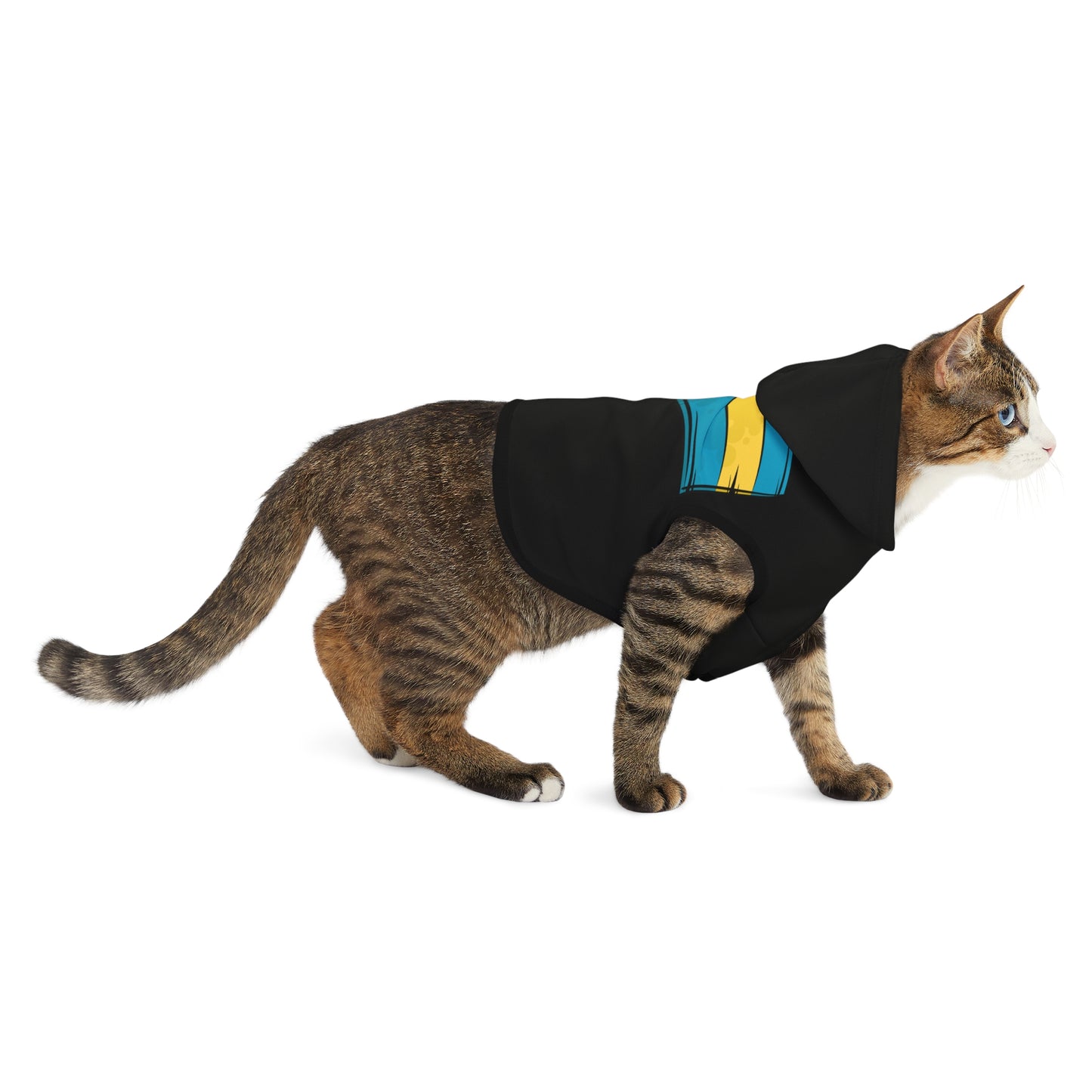 Pet 242 Hoodie
