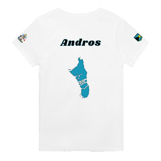 Andros BH