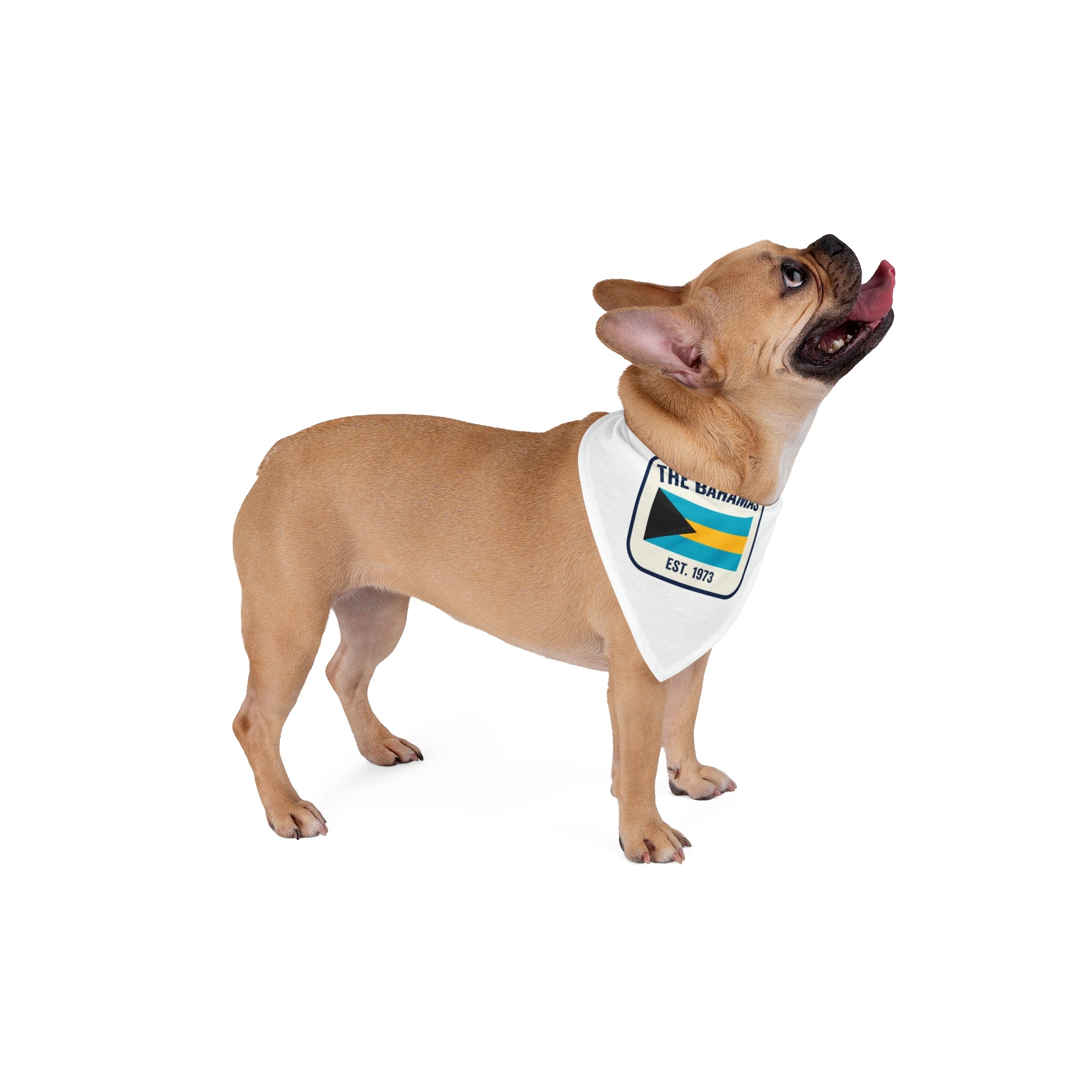 Pet 242 Bandana