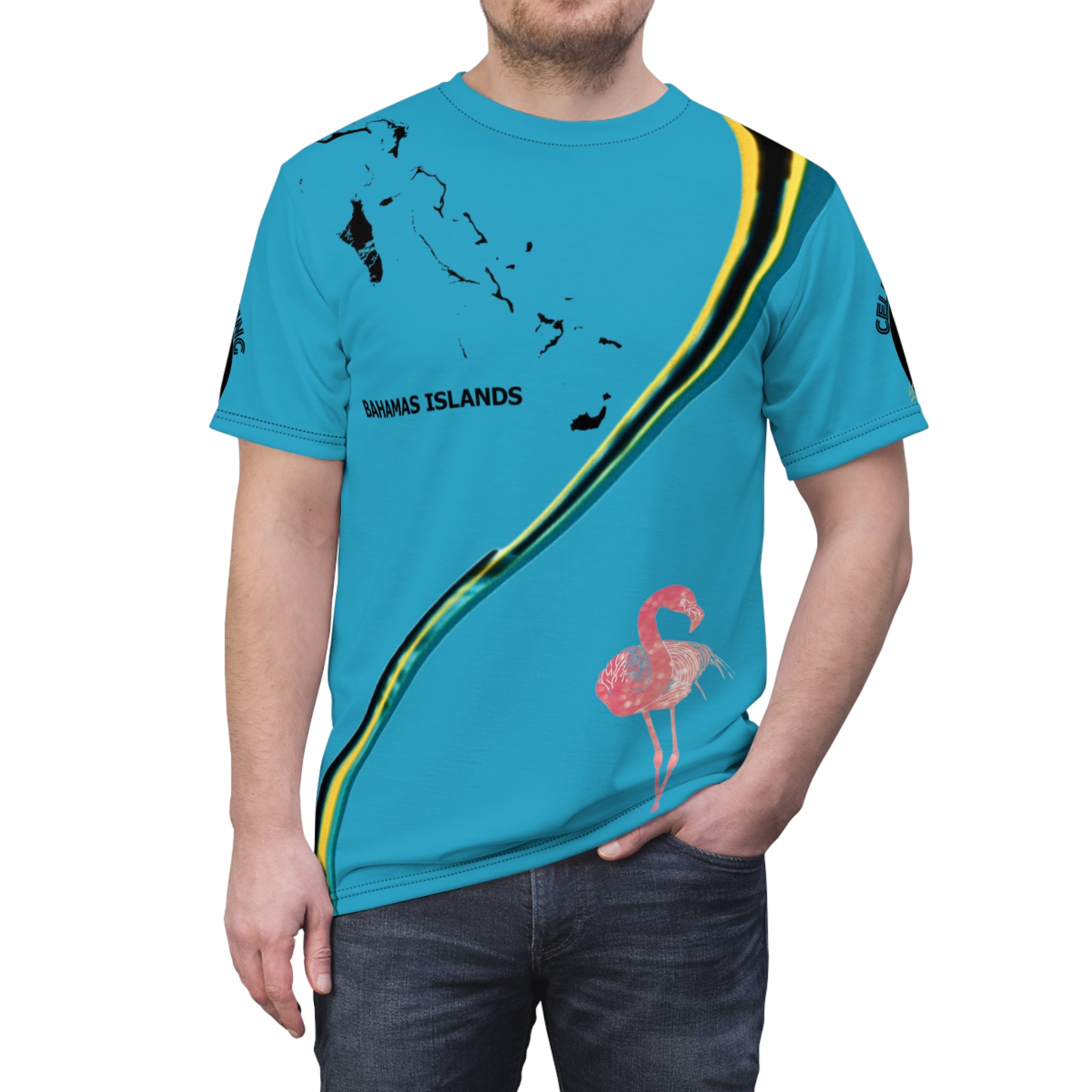 Person wearing a blue t-shirt with a flamingo design and 'Bahamas Islands' text on a white background